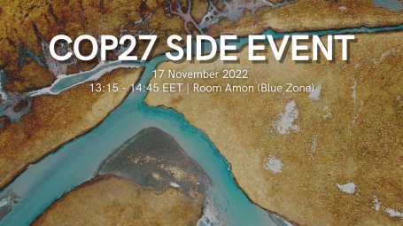 COP27
