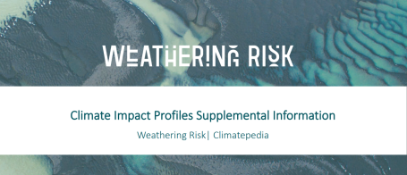 CIP Supplementary Information